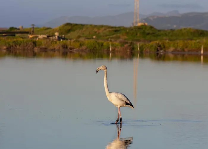 Le 5 Torri 3* Trapani